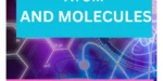 ATOM AND MOLECULE CLASS 9: A GREAT STUDY