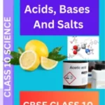 Acids, Bases And Salts CLASS 10 CBSE WORKSHEET: A SOLID STUDY