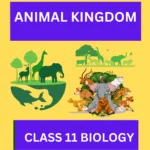 Animal Kingdom CLASS 11 BIOLOGY: A GREAT STUDY