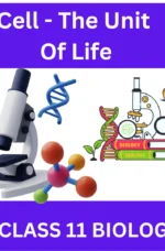 Cell - The Unit Of Life CLASS 11 BIOLOGY : A Great worksheet